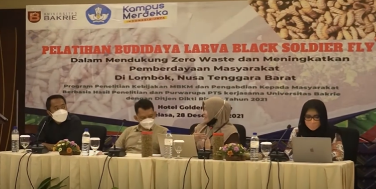 Video Pelatihan Budidaya Larva Black Soldier Fly di Lombok, Universitas Bakrie